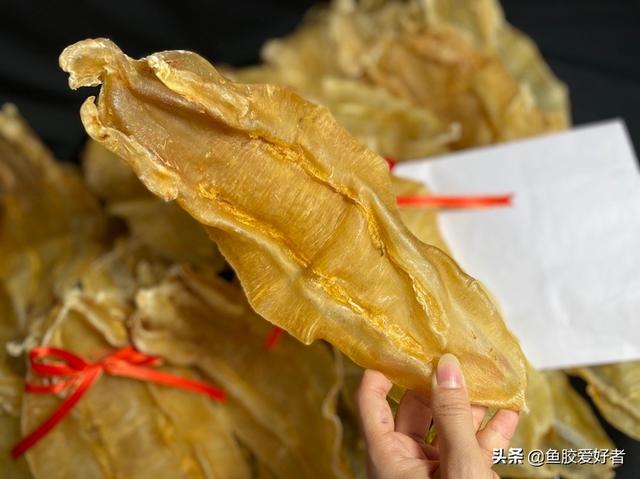 北海鱼胶的营养价值及功效 2026年北海鱼胶的功效及吃法