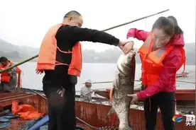 场面震撼！内江隆昌古宇湖大捕鱼、捕大鱼——图片