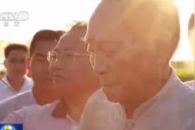 双星陨落 全网缅怀图片