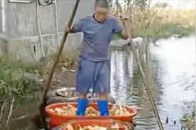 玉米收割机：去年收一亩地60元，今年涨到180块，村民要排队等图片