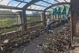 莆田一小区一月内两次火灾！业主：太糟心了图片