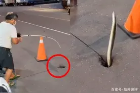 惊奇！柏油马路神秘孔洞能钓大鳗鱼，1晚能钓40条！最新情况进展图片