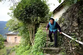 100岁老太独居深山，自己养猪养鸡、半头生猪做腊肉，够吃一年图片