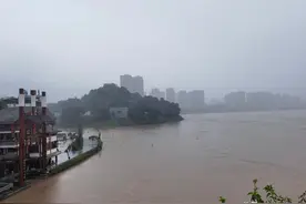 磁器口提前40小时迎接今年最大洪峰过境 将于7日11时出现最高水位图片
