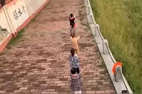 辽宁一男子公园游玩时偶遇大妈跳舞，奇特舞姿引关注“有点吓人”图片