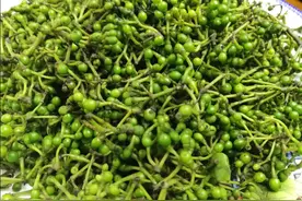 这个季节，当鱼跟豆腐遇到木姜子——成就了一道人间美味图片