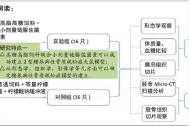 高脂高糖饮食结合链脲佐菌素建立2型糖尿病性骨质疏松症大鼠模型图片