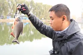 新入坑路亚的钓友越来越多，一篇基础攻略让新手少走弯路不空军图片