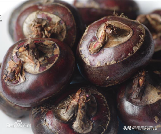 做完人流可以喝花胶鸡汤吗 人流手术后可以喝花胶鸡汤吗 做完人流可以喝花胶鸡汤吗 人流手术后可以喝花胶鸡汤吗