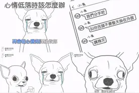 想要脱鲁就要派出吉娃娃军团！IG吉娃娃谐音梗图又废又爆笑图片