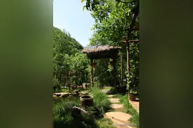 回山里面生活已经两年了，把院子改成心中想要的样子，很幸福图片