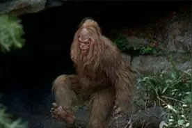 秦岭野人真的存在吗？专家们给出了答案图片