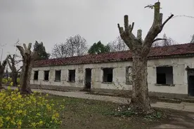 黄泛区农场图片