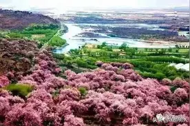 真实案例：孩子逃学去外地见异性网友，父母应该怎么办？图片