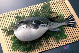 当心！这种鱼毒性极强，0.0005克毒素就能致死！千万别乱吃图片