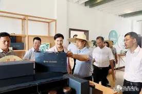 农发行总行领导到凌云县开展党建促乡村振兴调研活动图片