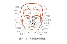 「观面无隐私」 看一看鼻子形态，不然得了X病都不知道图片