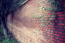 12306放票规则，建议收藏图片