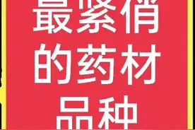 市场上比较紧俏的药材有哪些？种植药材，选对品种是关键图片