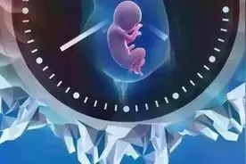 胚胎冷冻，会冻坏吗？图片