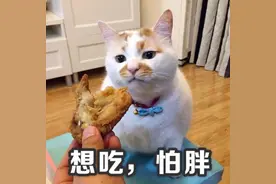 减脂必备，6款低热量低脂肪的调料/酱料推荐图片