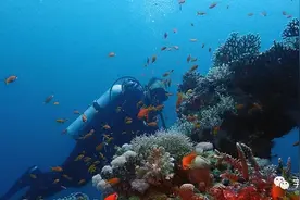 为什么工地“水鬼”上不来就割氧气罐，不能上面人拉上去吗？图片