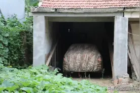 我们村有九人按揭买了奔驰和宝马，我真替他们感到脸红图片