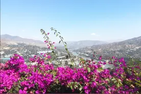 攀枝花    一座走了又想回去的城市图片