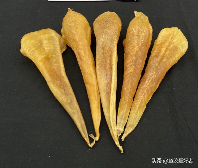 小鱼胶是不是花胶 2026年小鱼胶是不是花胶呢
