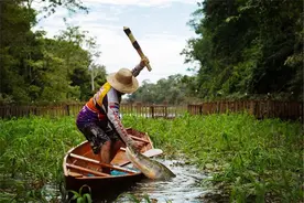 它活了上亿年，把食人鱼当“点心”，菜刀砍不动，为何败给棒槌？图片