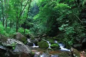 辽宁的峡谷景区，喜欢小溪流水的看过来图片