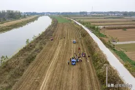 农村大叔包地种红薯，半夜三更睡河道：村民一天捡漏300斤图片