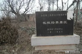 祖坟被雷劈过吧？居然运气好到能一脚踢出个国宝！（2）图片