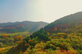 济南每年都值得N刷的神仙级山景，秋天染色盘非它莫属图片