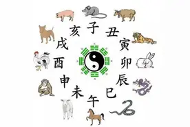 人体五脏六腑在24小时工作安排图片