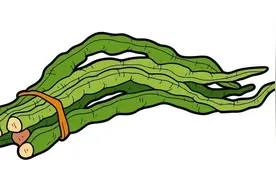 5类最常吃的食物，里面居然存在致命毒素？图片