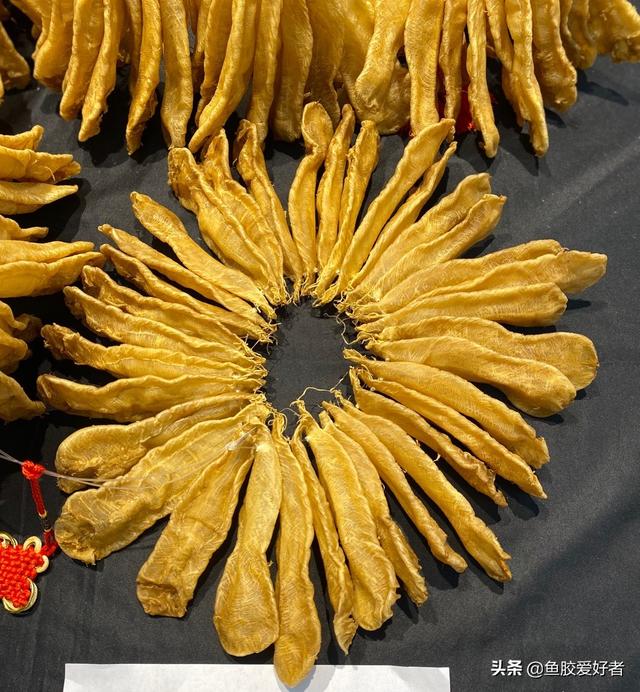 鱼胶是大的好还是小的好 2026年鱼胶是大的好还是小的好一点