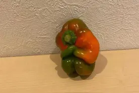 斥巨资定制了条JK短裙，居然是透明的！你敢看吗图片