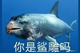 继光头王八后，这可能是今年meme圈最“鲨雕”的崽图片
