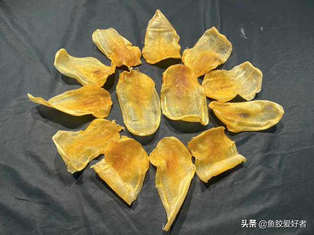 白花胶和黄花胶的区别 2026年白花胶和黄花胶的区别是什么