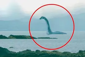 长白山天池出现“水怪”，仅脖子就有1米长，这到底是什么生物？图片