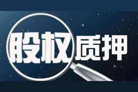 关于股份有限公司股权质押问题图片