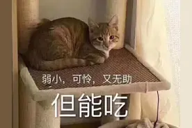 当宿管阿姨检查大学生宿舍“违规用品”后，那画风，就像是去进货图片