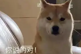 表情包：说不过你，但喜欢你图片