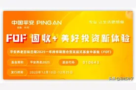 NO.419｜平安基金高莺-平安养老2025一年，值得买吗？图片