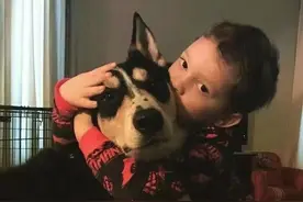 「表情包」时常感到与你们格格不入图片