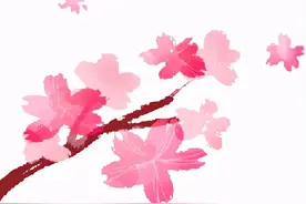 桃花拍摄小技巧，春游必备图片