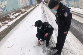 珲春巡护民警偶遇东北豹，一路护航送其“回家”图片