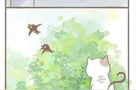 白猫和黑猫图片