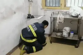 湖南多地居民家有蛇出没，消防员“花式”抓蛇！图片